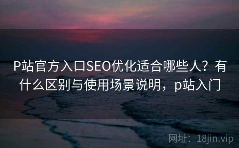 P站官方入口SEO优化适合哪些人？有什么区别与使用场景说明，p站入门