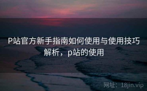 P站官方新手指南如何使用与使用技巧解析，p站的使用