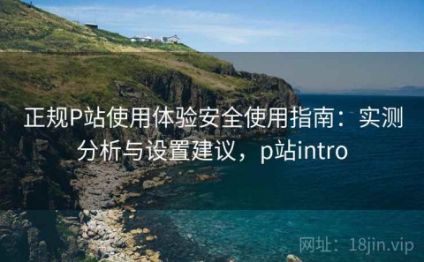 正规P站使用体验安全使用指南：实测分析与设置建议，p站intro
