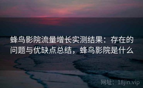 蜂鸟影院流量增长实测结果：存在的问题与优缺点总结，蜂鸟影院是什么
