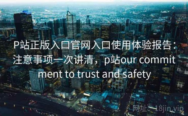 P站正版入口官网入口使用体验报告：注意事项一次讲清，p站our commitment to trust and safety