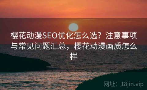 樱花动漫SEO优化怎么选？注意事项与常见问题汇总，樱花动漫画质怎么样