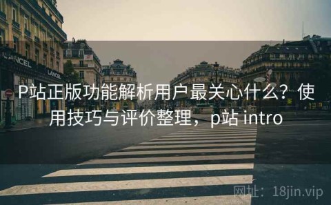 P站正版功能解析用户最关心什么？使用技巧与评价整理，p站 intro