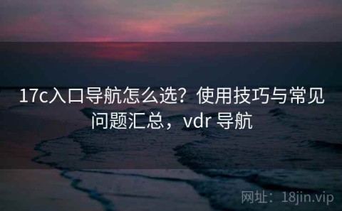 17c入口导航怎么选？使用技巧与常见问题汇总，vdr 导航