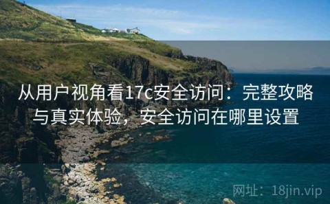 从用户视角看17c安全访问：完整攻略与真实体验，安全访问在哪里设置