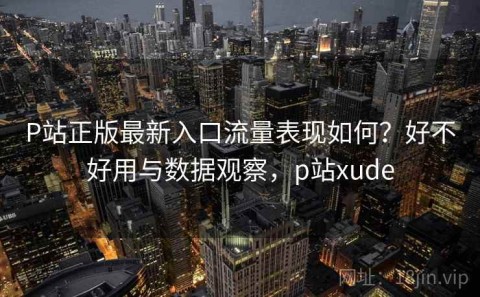 P站正版最新入口流量表现如何？好不好用与数据观察，p站xude