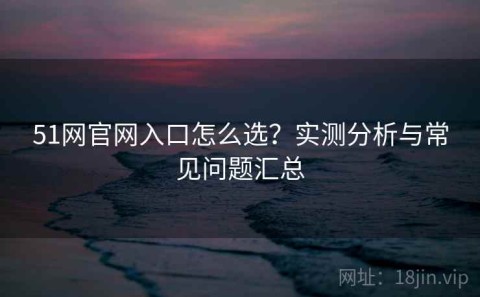 51网官网入口怎么选？实测分析与常见问题汇总