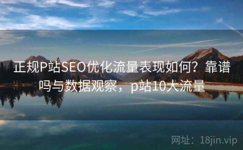 正规P站SEO优化流量表现如何？靠谱吗与数据观察，p站10大流量