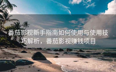 番茄影视新手指南如何使用与使用技巧解析，番茄影视赚钱项目