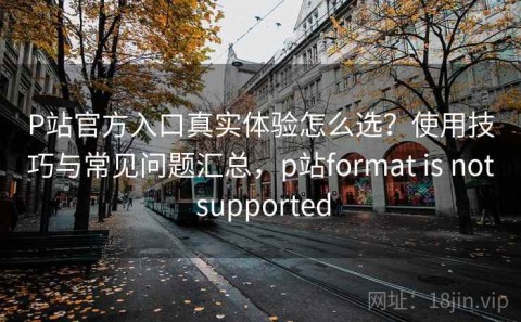 P站官方入口真实体验怎么选？使用技巧与常见问题汇总，p站format is not supported