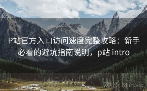 P站官方入口访问速度完整攻略：新手必看的避坑指南说明，p站 intro