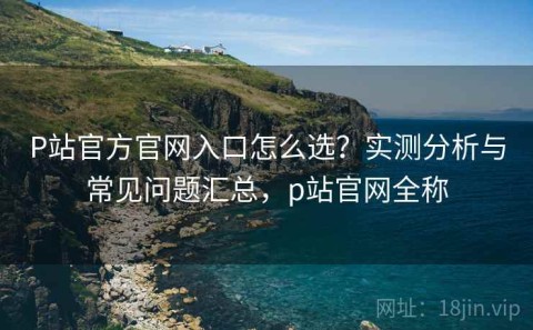 P站官方官网入口怎么选？实测分析与常见问题汇总，p站官网全称