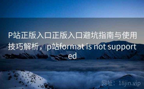 P站正版入口正版入口避坑指南与使用技巧解析，p站format is not supported