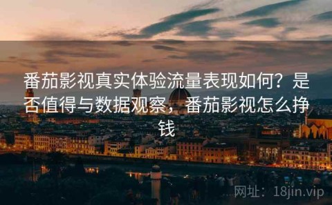 番茄影视真实体验流量表现如何？是否值得与数据观察，番茄影视怎么挣钱