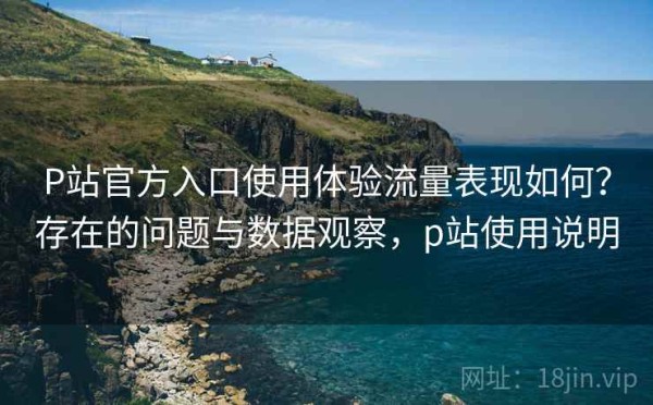 P站官方入口使用体验流量表现如何？存在的问题与数据观察，p站使用说明