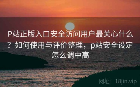 P站正版入口安全访问用户最关心什么？如何使用与评价整理，p站安全设定怎么调中高