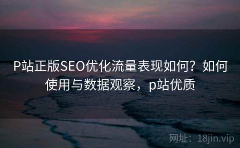 P站正版SEO优化流量表现如何？如何使用与数据观察，p站优质