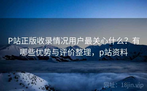 P站正版收录情况用户最关心什么？有哪些优势与评价整理，p站资料