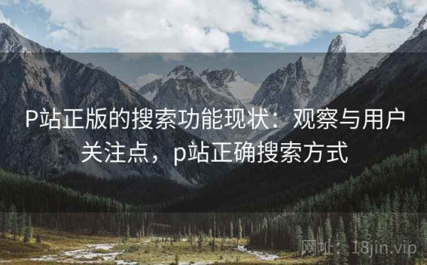 P站正版的搜索功能现状：观察与用户关注点，p站正确搜索方式