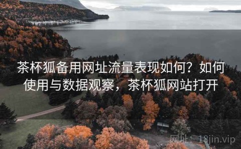茶杯狐备用网址流量表现如何？如何使用与数据观察，茶杯狐网站打开