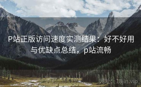 P站正版访问速度实测结果：好不好用与优缺点总结，p站流畅