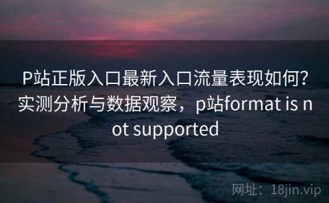 P站正版入口最新入口流量表现如何？实测分析与数据观察，p站format is not supported