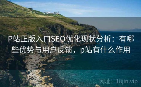 P站正版入口SEO优化现状分析：有哪些优势与用户反馈，p站有什么作用