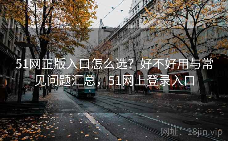 51网正版入口怎么选？好不好用与常见问题汇总，51网上登录入口