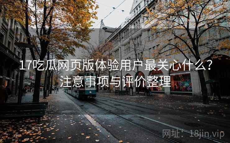 17吃瓜网页版体验用户最关心什么？注意事项与评价整理