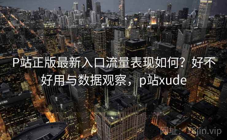 P站正版最新入口流量表现如何？好不好用与数据观察，p站xude