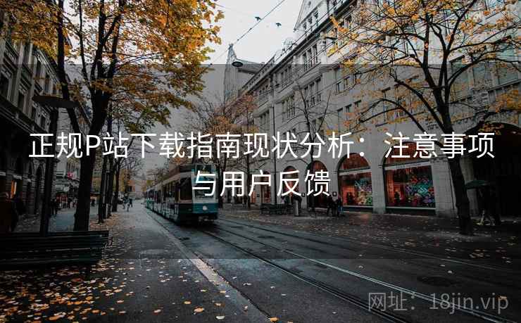 正规P站下载指南现状分析：注意事项与用户反馈