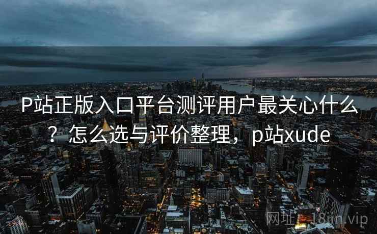 P站正版入口平台测评用户最关心什么？怎么选与评价整理，p站xude
