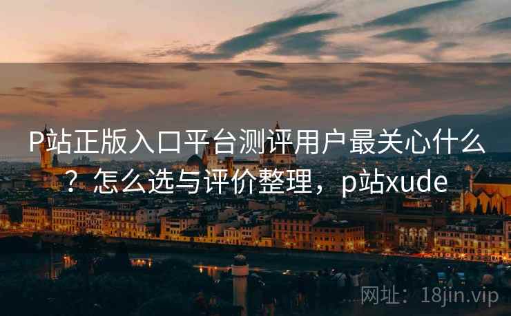 P站正版入口平台测评用户最关心什么？怎么选与评价整理，p站xude