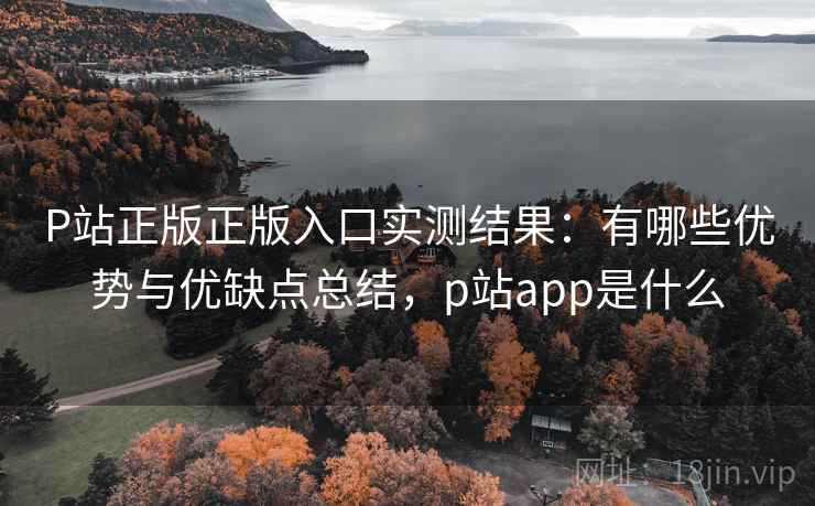 P站正版正版入口实测结果：有哪些优势与优缺点总结，p站app是什么