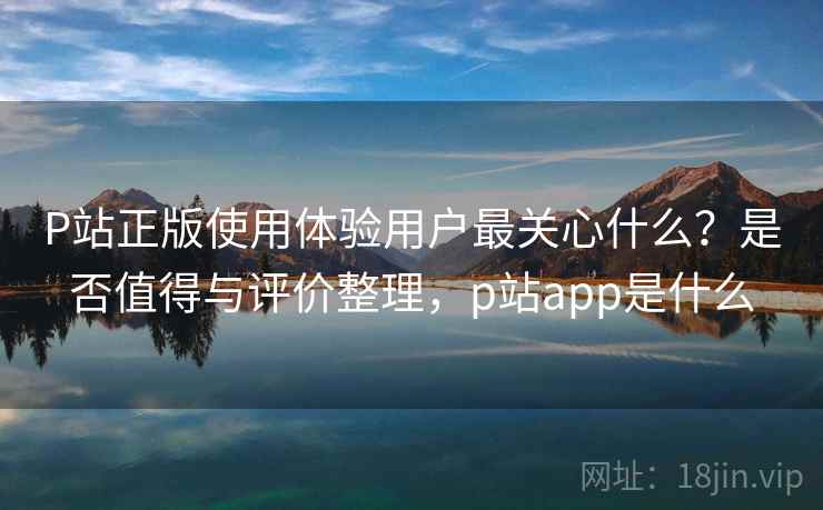 P站正版使用体验用户最关心什么？是否值得与评价整理，p站app是什么