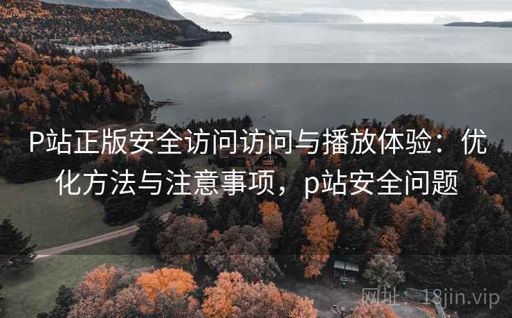P站正版安全访问访问与播放体验：优化方法与注意事项，p站安全问题