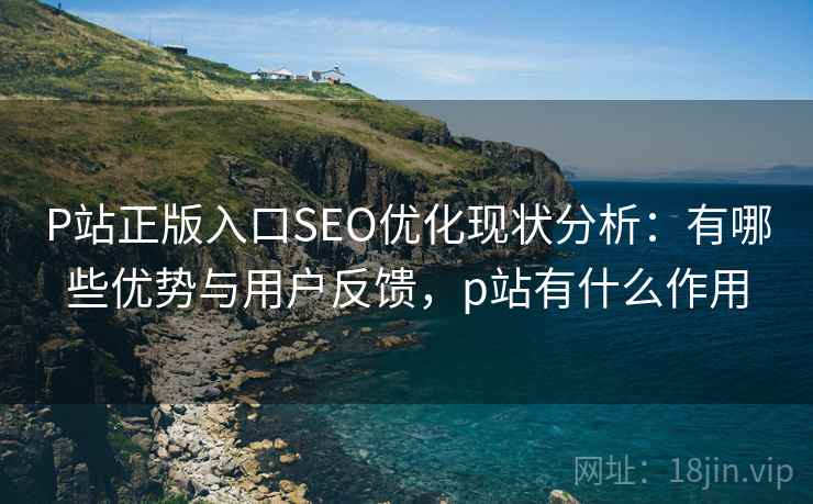 P站正版入口SEO优化现状分析：有哪些优势与用户反馈，p站有什么作用