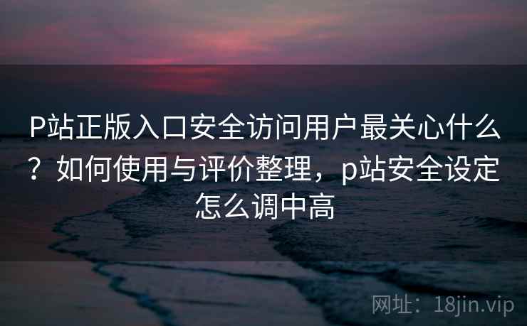 P站正版入口安全访问用户最关心什么？如何使用与评价整理，p站安全设定怎么调中高