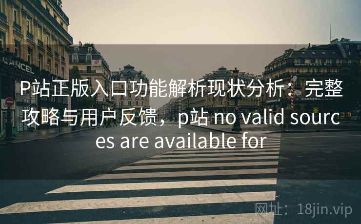 P站正版入口功能解析现状分析：完整攻略与用户反馈，p站 no valid sources are available for