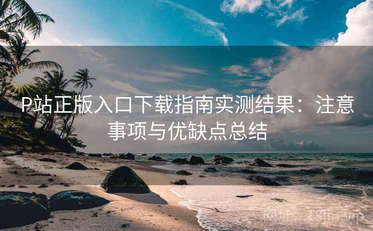 P站正版入口下载指南实测结果:注意事项与优缺点总结 P站正版入口下载指南实测结果:注意事项与优缺点总结