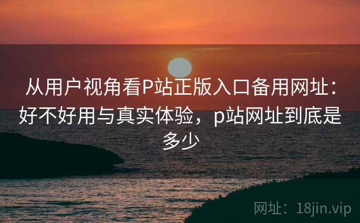 从用户视角看P站正版入口备用网址：好不好用与真实体验，p站网址到底是多少