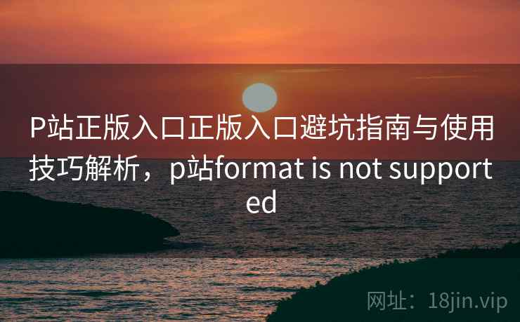 P站正版入口正版入口避坑指南与使用技巧解析，p站format is not supported