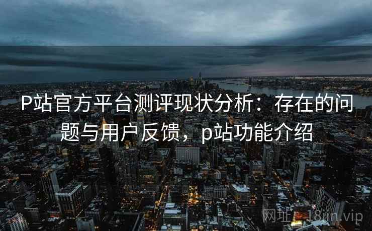 P站官方平台测评现状分析：存在的问题与用户反馈，p站功能介绍