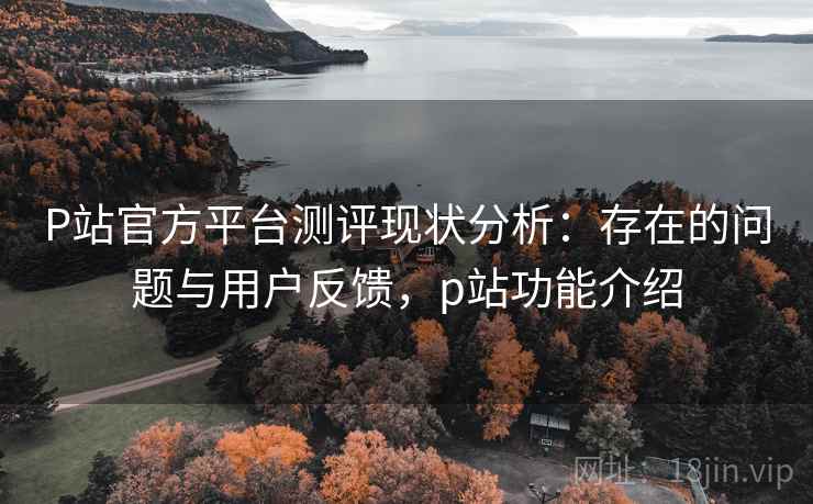 P站官方平台测评现状分析：存在的问题与用户反馈，p站功能介绍