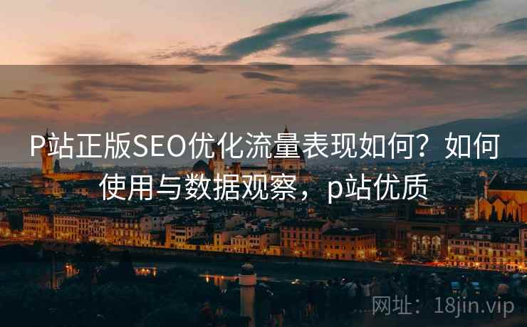 P站正版SEO优化流量表现如何？如何使用与数据观察，p站优质