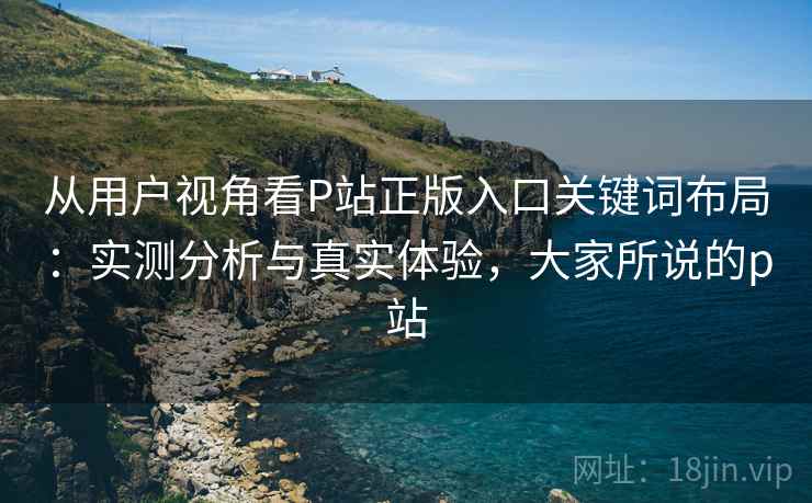 从用户视角看P站正版入口关键词布局：实测分析与真实体验，大家所说的p站