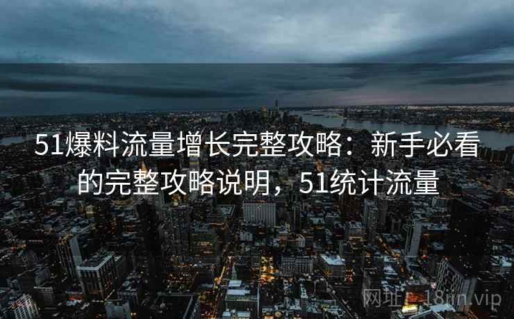 51爆料流量增长完整攻略：新手必看的完整攻略说明，51统计流量
