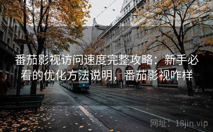 番茄影视访问速度完整攻略：新手必看的优化方法说明，番茄影视咋样
