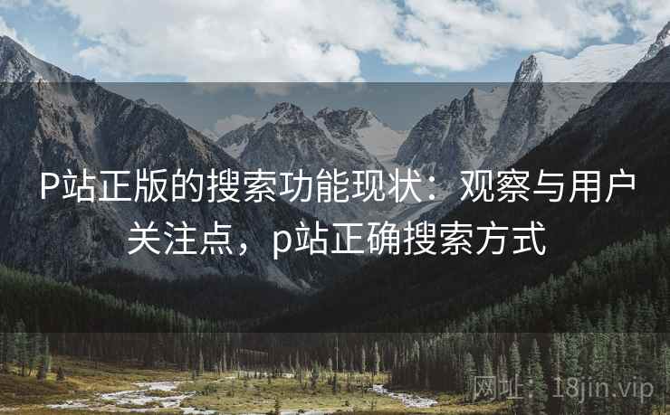 P站正版的搜索功能现状：观察与用户关注点，p站正确搜索方式