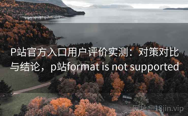 P站官方入口用户评价实测：对策对比与结论，p站format is not supported